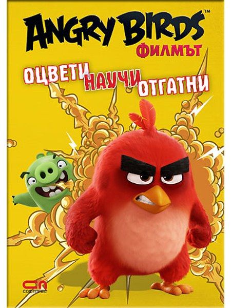 Angry Birds филмът: Оцвети, научи, отгатни